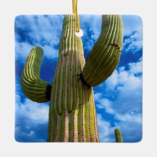 Saguaro cactus portrait, Arizona Ceramic Tree Decoration (Front)