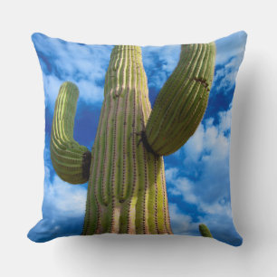 Saguaro cactus portrait, Arizona Cushion