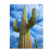 Saguaro cactus portrait, Arizona