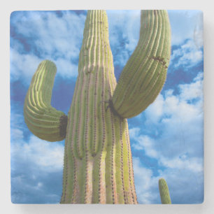 Saguaro cactus portrait, Arizona Stone Coaster