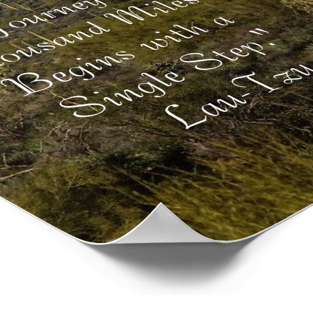 Saguaro Cactus Snow Capped Mountains Arizona USA Poster (Corner)