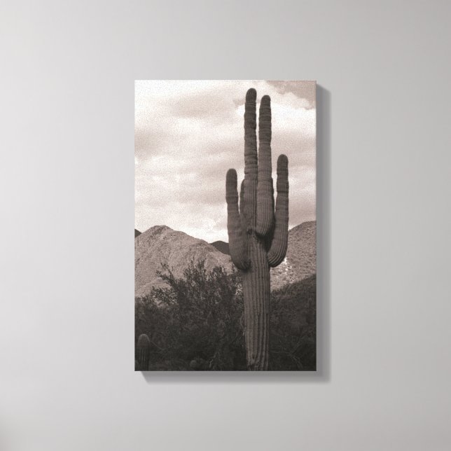 Saguaro Cactus Sonoran Desert B&W Photo Art Print (Front)