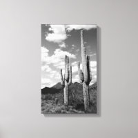 Saguaro Cactus Sonoran Desert B&W Photo Art Print