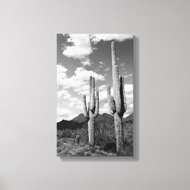 Saguaro Cactus Sonoran Desert B&W Photo Art Print (Front)