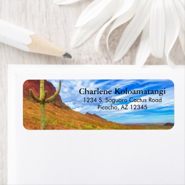 Saguaro Cactus Sonoran Desert Blue Sky Clouds (Insitu)