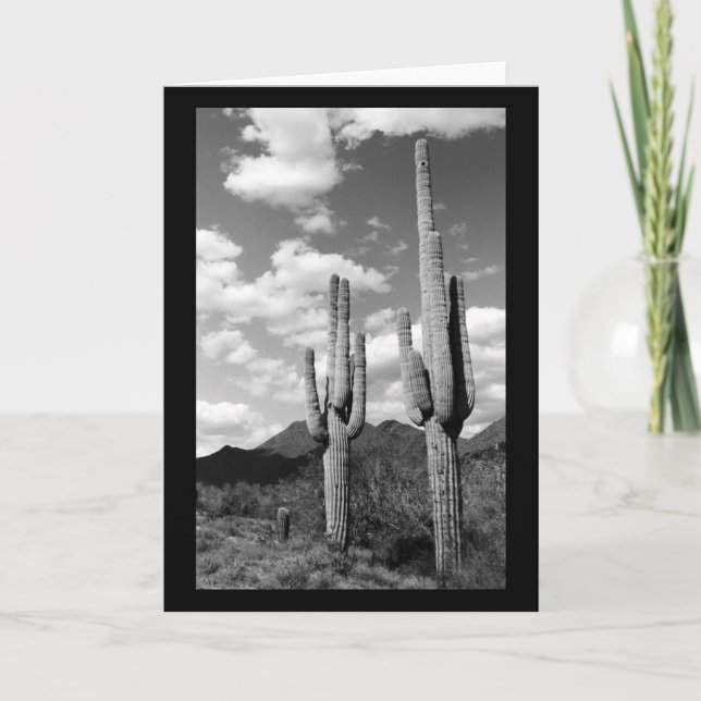 Saguaro Cactus Sonoran Desert Photo Greeting Cards (Front)