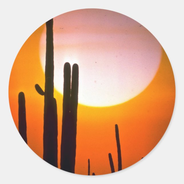Saguaro cactus, Sonoran Desert, U.S.A. Desert Classic Round Sticker (Front)