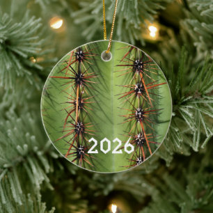 Saguaro Cactus Spines Close-up, Saguaro Ntl. Park Ceramic Tree Decoration