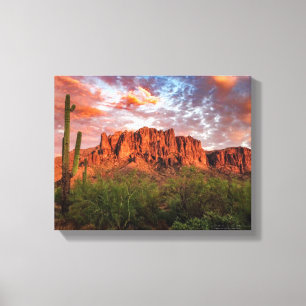 Saguaro Cactus Superstition Mountain Sunset 14x11 Canvas Print