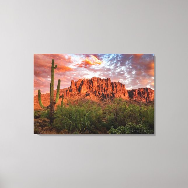Saguaro Cactus Superstition Mountain Sunset 36x24 Canvas Print (Front)