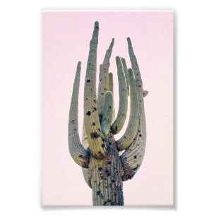 Saguaro Cutout Photo Print