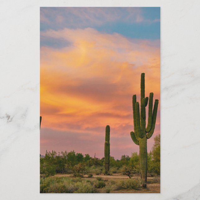 Saguaro Desert Life (Front)