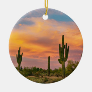 Saguaro Desert Life Ceramic Tree Decoration