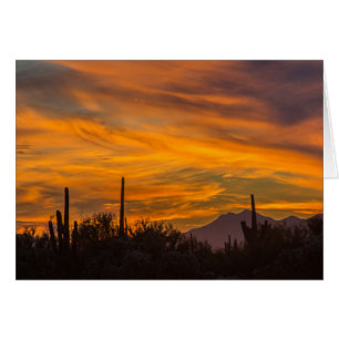 Saguaro Desert Sunset Photo Greeting Card