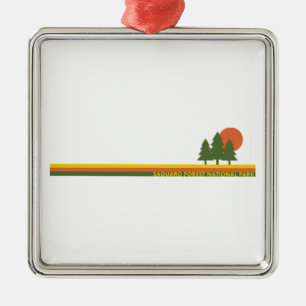 Saguaro Forest National Park Pine Trees Sun Metal Tree Decoration