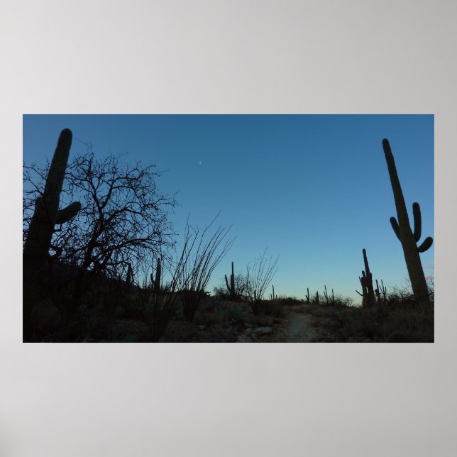 Saguaro Morning at Saguaro National Park Poster (Front)