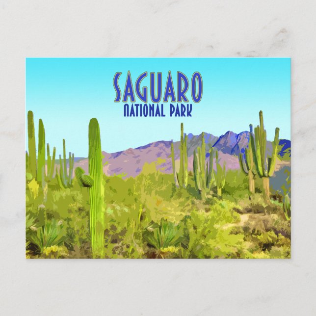 Saguaro National Park Arizona Cactus Vintage Postcard (Front)