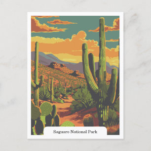 Saguaro National Park, Arizona USA Postcard