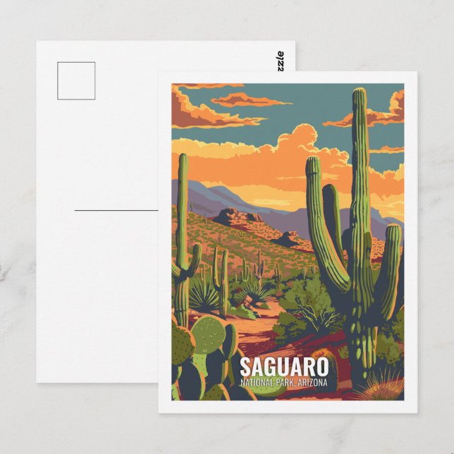 Saguaro National Park Arizona USA  Postcard (Front/Back)
