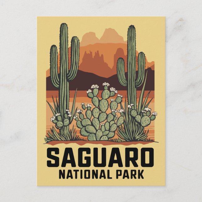 Saguaro National Park Cactus Postcard (Front)