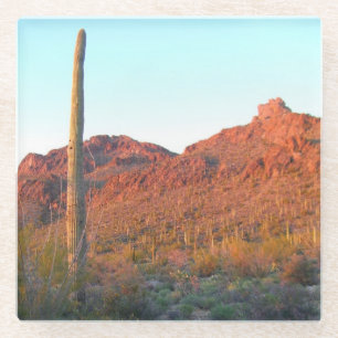Saguaro National Park Glass Coaster