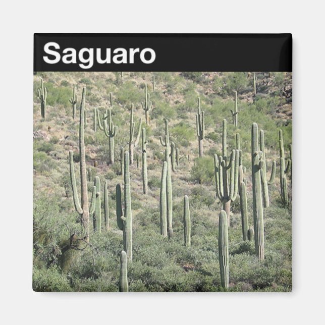 Saguaro National Park Magnet (Front)