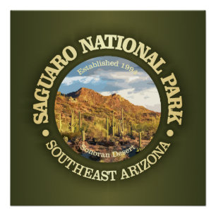 Saguaro National Park (NP2) Poster