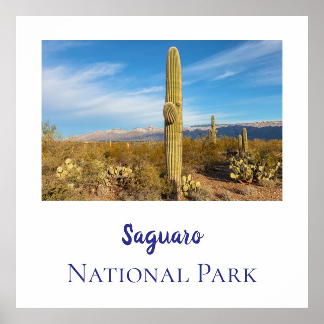 Saguaro national park poster (Front)