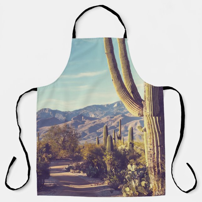 Saguaro National Park, scenic representation. Apron (Front)