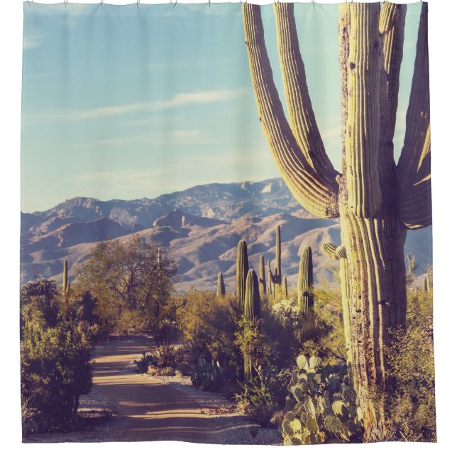 Saguaro National Park, scenic representation. Shower Curtain (Front)