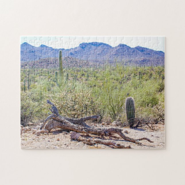 Saguaro National Park Tucson Arizona Jigsaw Puzzle (Horizontal)