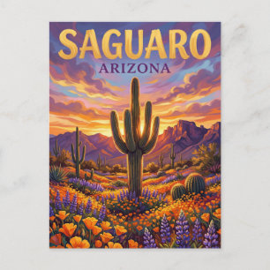 Saguaro National Park USA Postcard