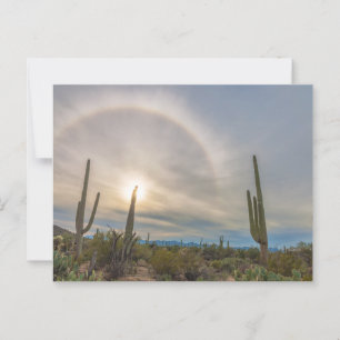 Saguaro National Park with Sun Halo Postcard