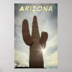 Saguaro poster