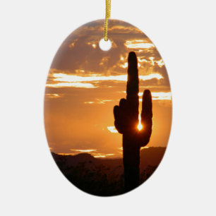 Saguaro Rays Ceramic Tree Decoration