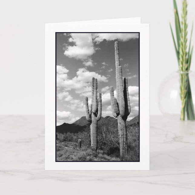 Saguaro Sentinels Greeting Card (Front)