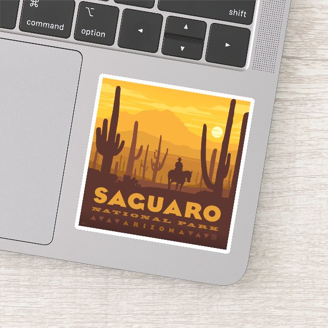 Saguaro Square National Park | Arizona (Detail)