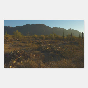 Saguaro Sunrise at Saguaro National Park Rectangular Sticker
