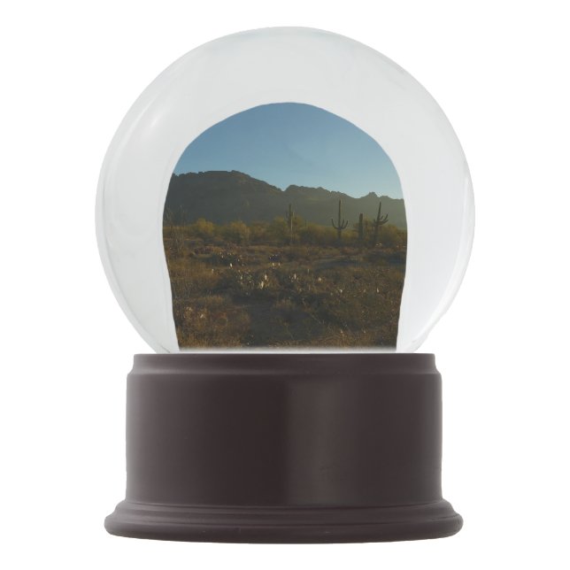 Saguaro Sunrise at Saguaro National Park Snow Globe (Front)