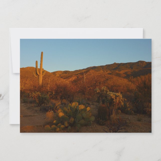 Saguaro Sunset I Arizona Desert Landscape Card (Front)