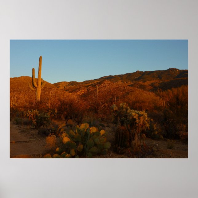 Saguaro Sunset I Arizona Desert Landscape Poster (Front)