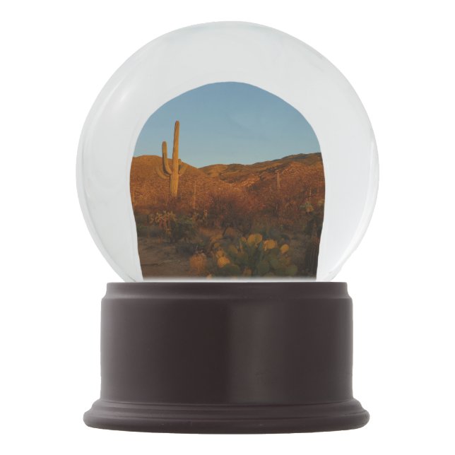 Saguaro Sunset I Arizona Desert Landscape Snow Globe (Front)