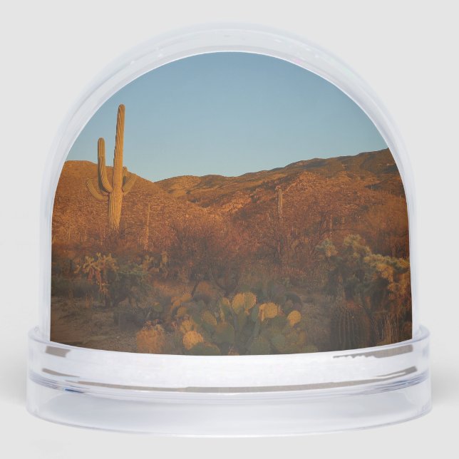 Saguaro Sunset I Arizona Desert Landscape Snowglobe (Front)