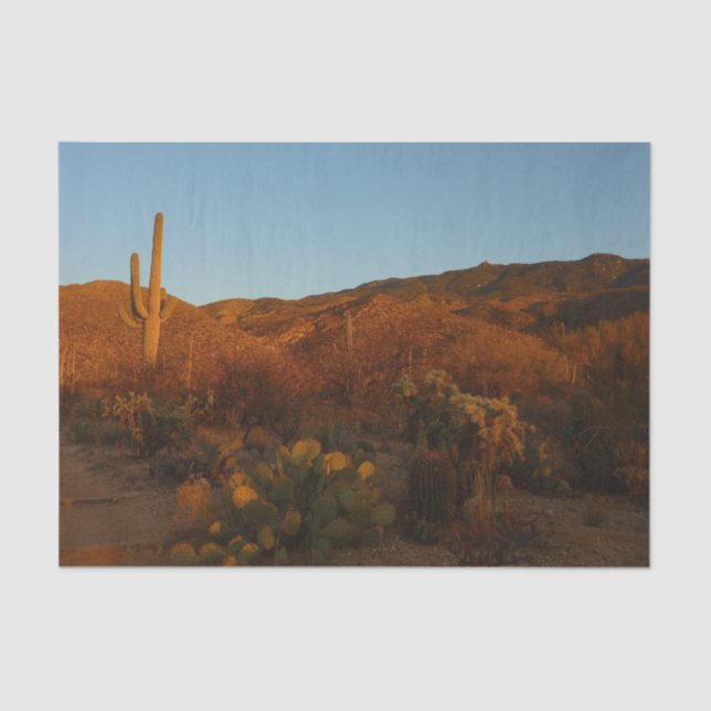 Saguaro Sunset I Arizona Desert Landscape Tissue Paper (Front)