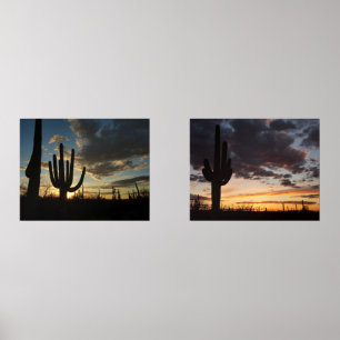 Saguaro Sunset II Arizona Desert Landscape