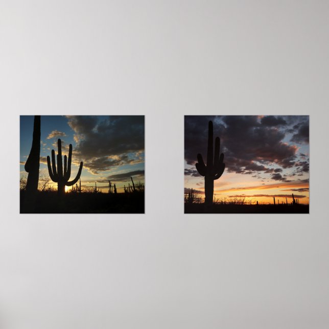 Saguaro Sunset II Arizona Desert Landscape (Front)