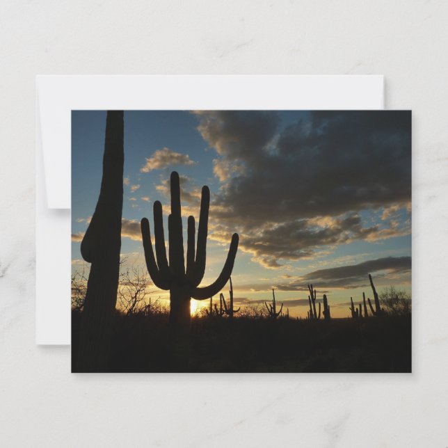 Saguaro Sunset II Arizona Desert Landscape Card (Front)