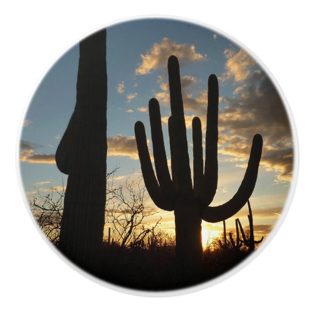 Saguaro Sunset II Arizona Desert Landscape Ceramic Knob (Front)