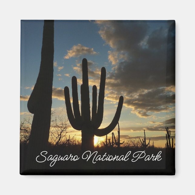 Saguaro Sunset II Arizona Desert Landscape Magnet (Front)