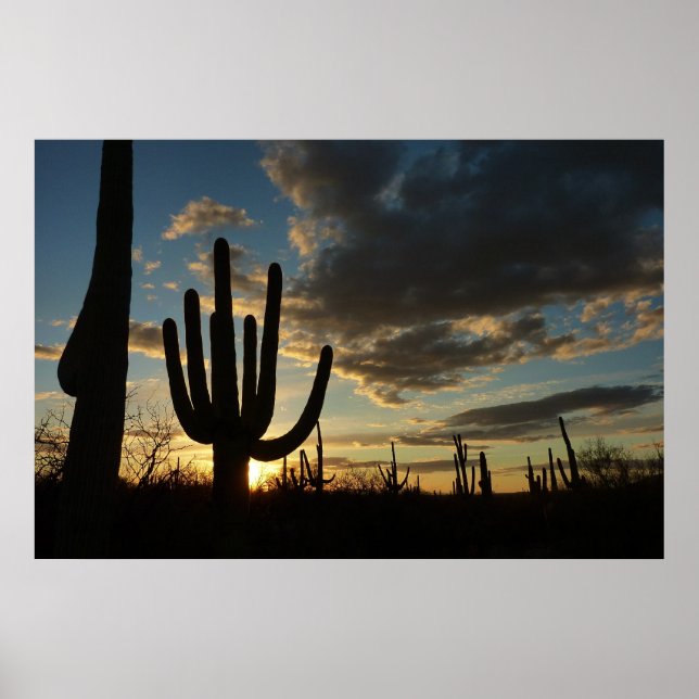 Saguaro Sunset II Arizona Desert Landscape Poster (Front)
